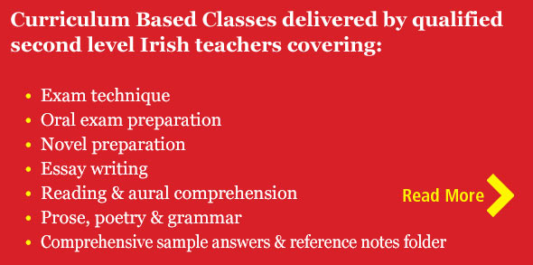 Irish Summer College Options