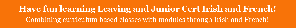 Learn Leaving and Junior Cert Irish the fun way!